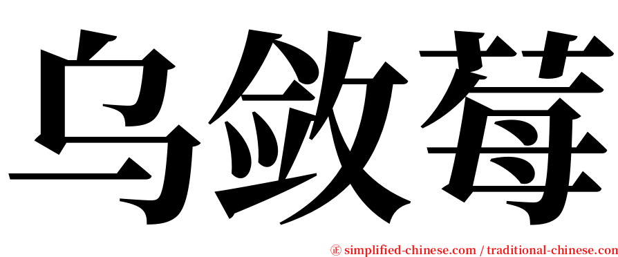 乌敛莓 serif font