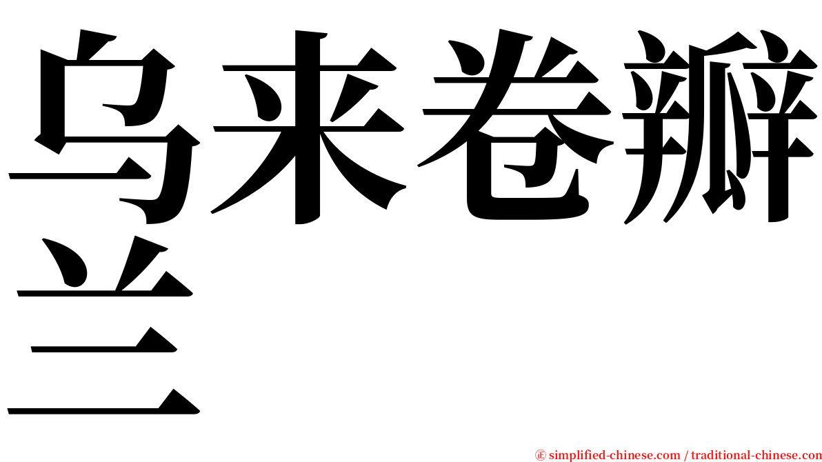 乌来卷瓣兰 serif font