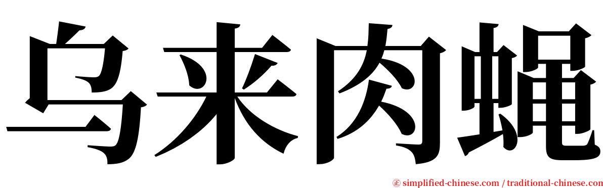 乌来肉蝇 serif font