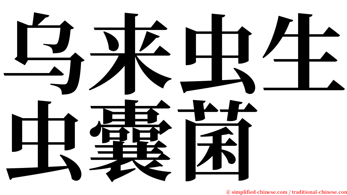 乌来虫生虫囊菌 serif font