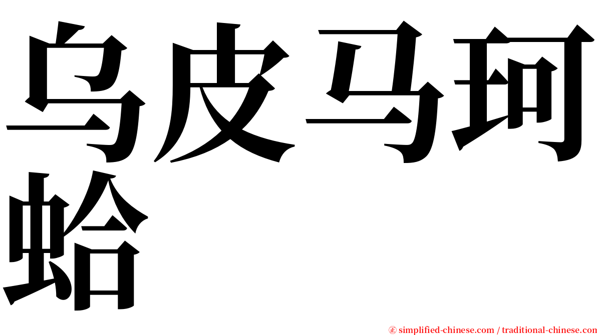 乌皮马珂蛤 serif font