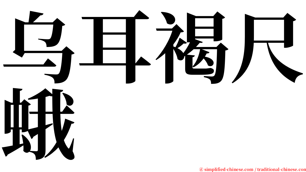 乌耳褐尺蛾 serif font