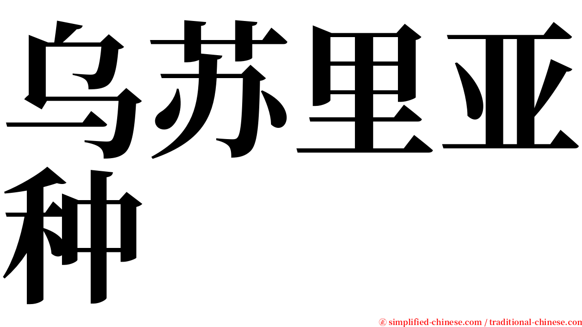 乌苏里亚种 serif font