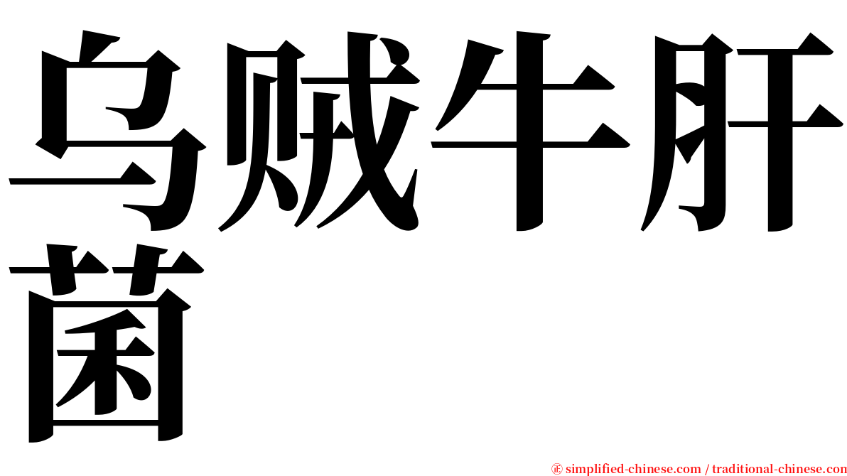 乌贼牛肝菌 serif font