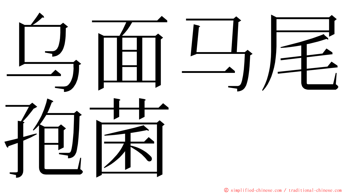 乌面马尾孢菌 ming font