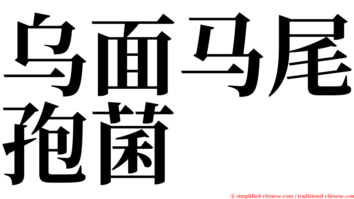 乌面马尾孢菌 serif font