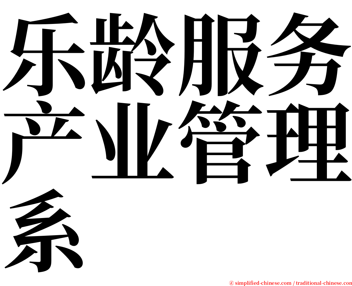 乐龄服务产业管理系 serif font