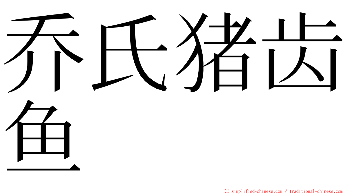 乔氏猪齿鱼 ming font