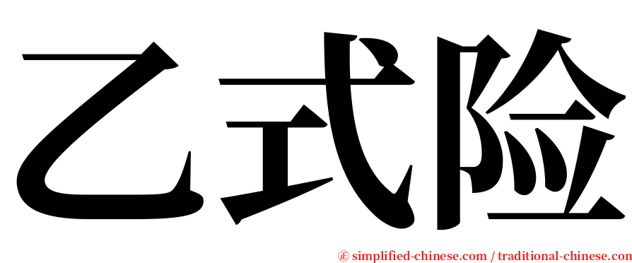 乙式险 serif font