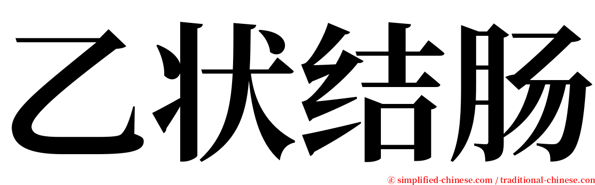 乙状结肠 serif font