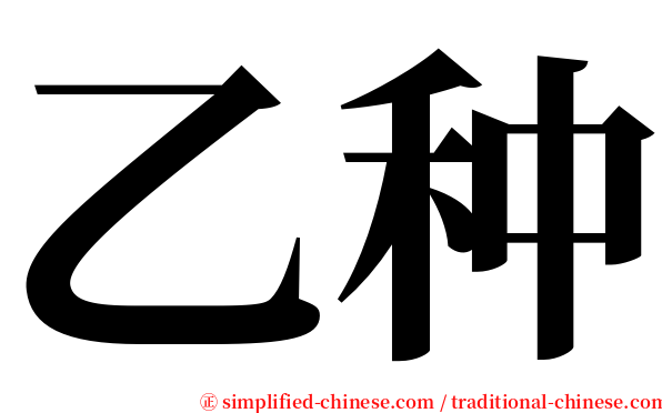 乙种 serif font