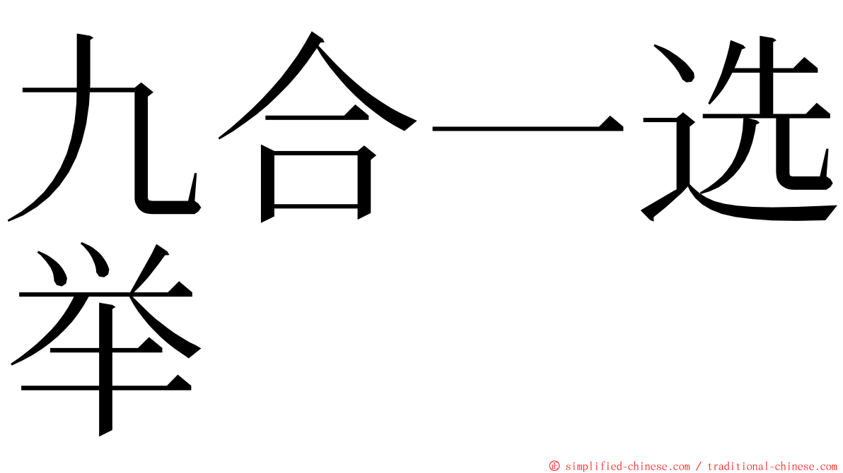 九合一选举 ming font