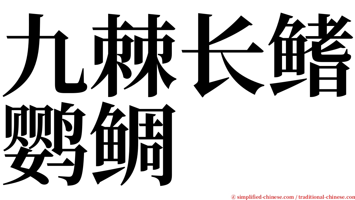 九棘长鳍鹦鲷 serif font