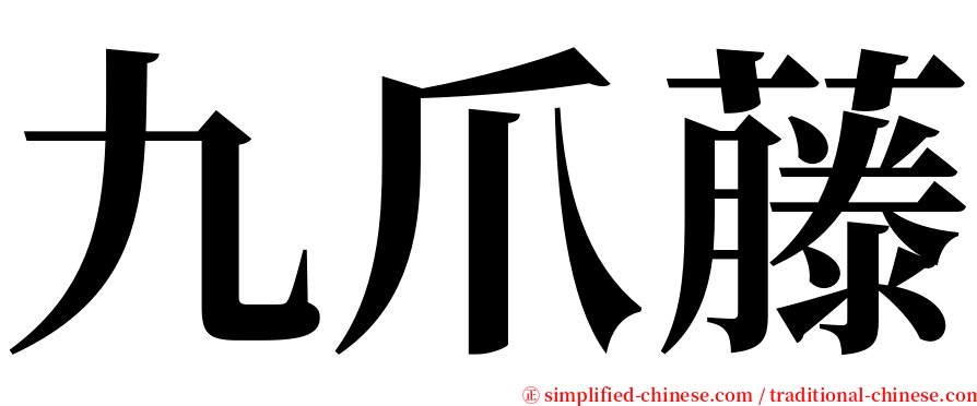 九爪藤 serif font