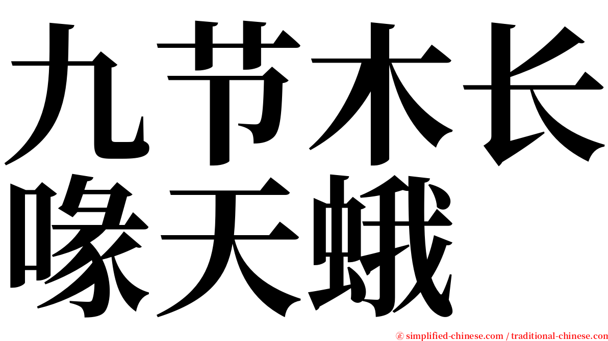 九节木长喙天蛾 serif font