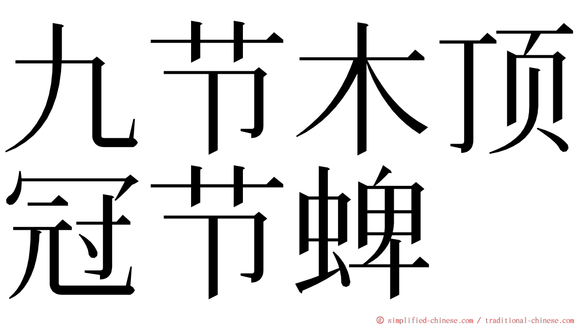 九节木顶冠节蜱 ming font