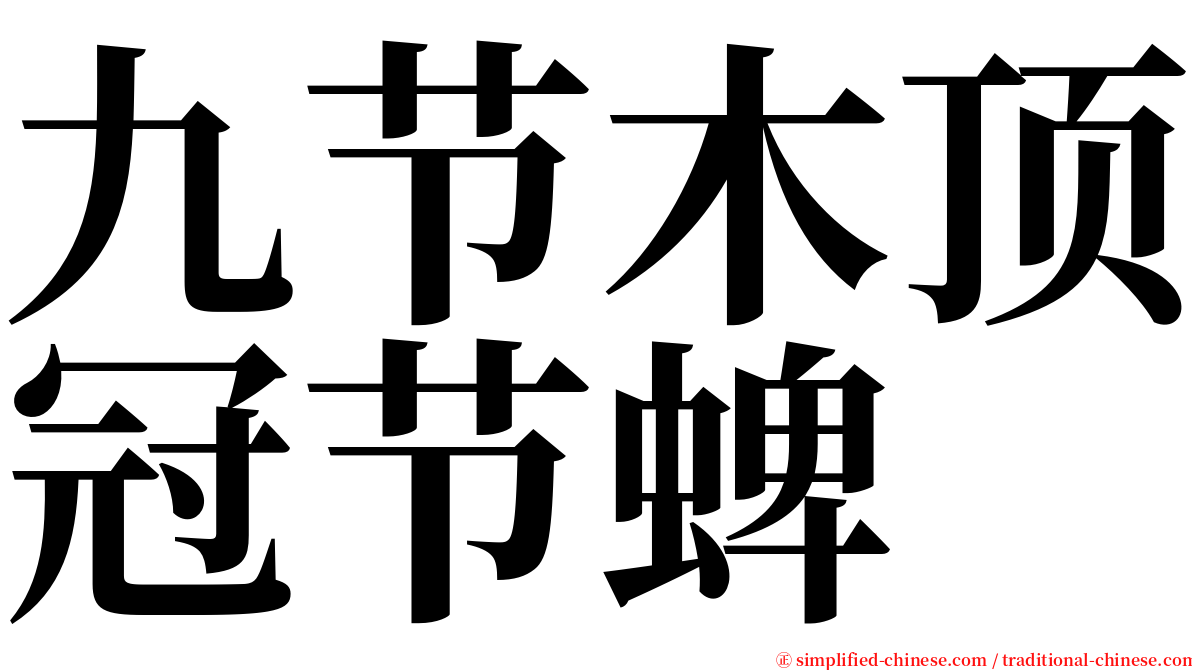 九节木顶冠节蜱 serif font