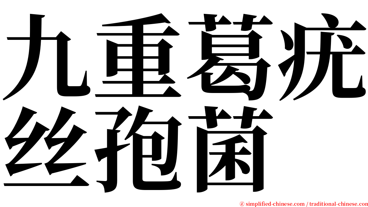 九重葛疣丝孢菌 serif font