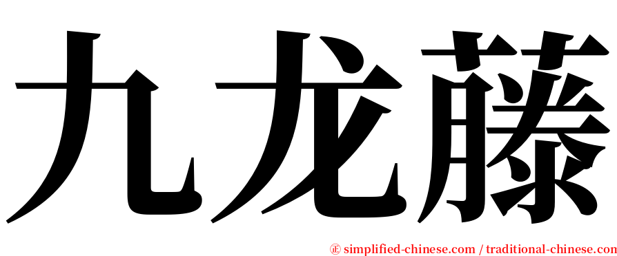九龙藤 serif font