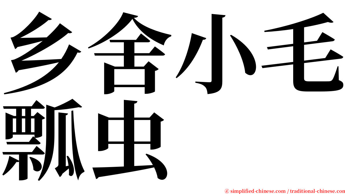 乡舍小毛瓢虫 serif font