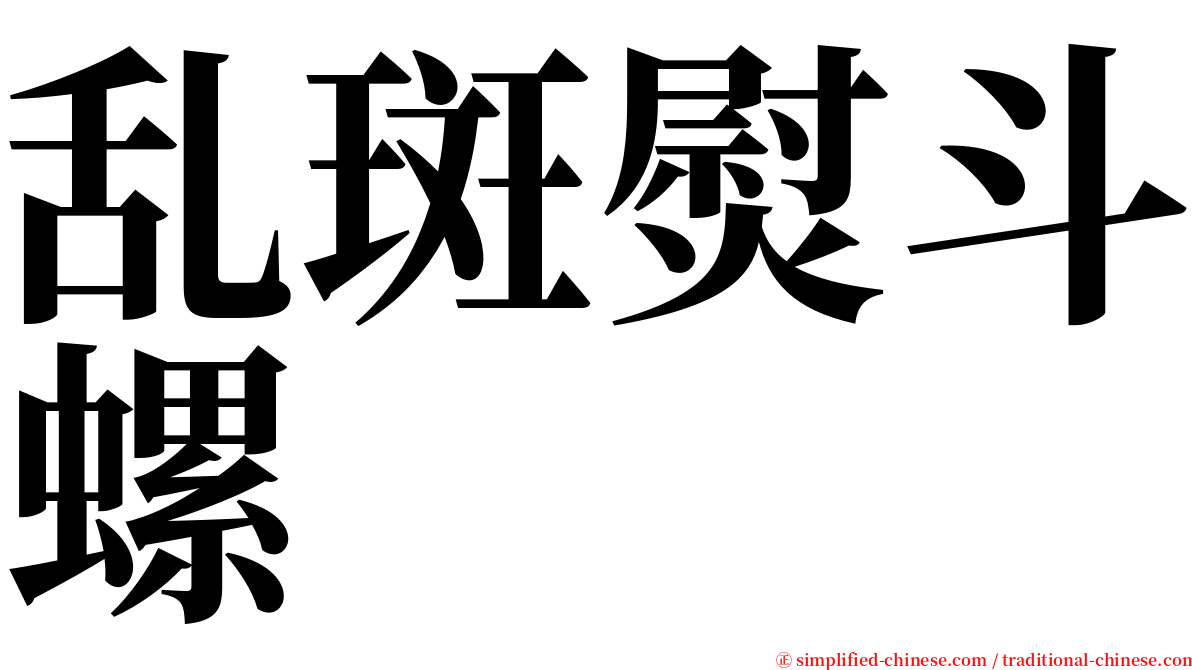 乱斑熨斗螺 serif font