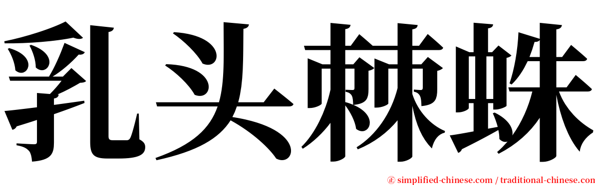 乳头棘蛛 serif font