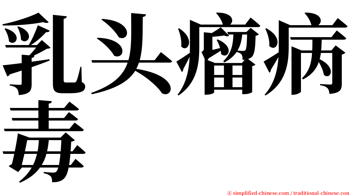 乳头瘤病毒 serif font