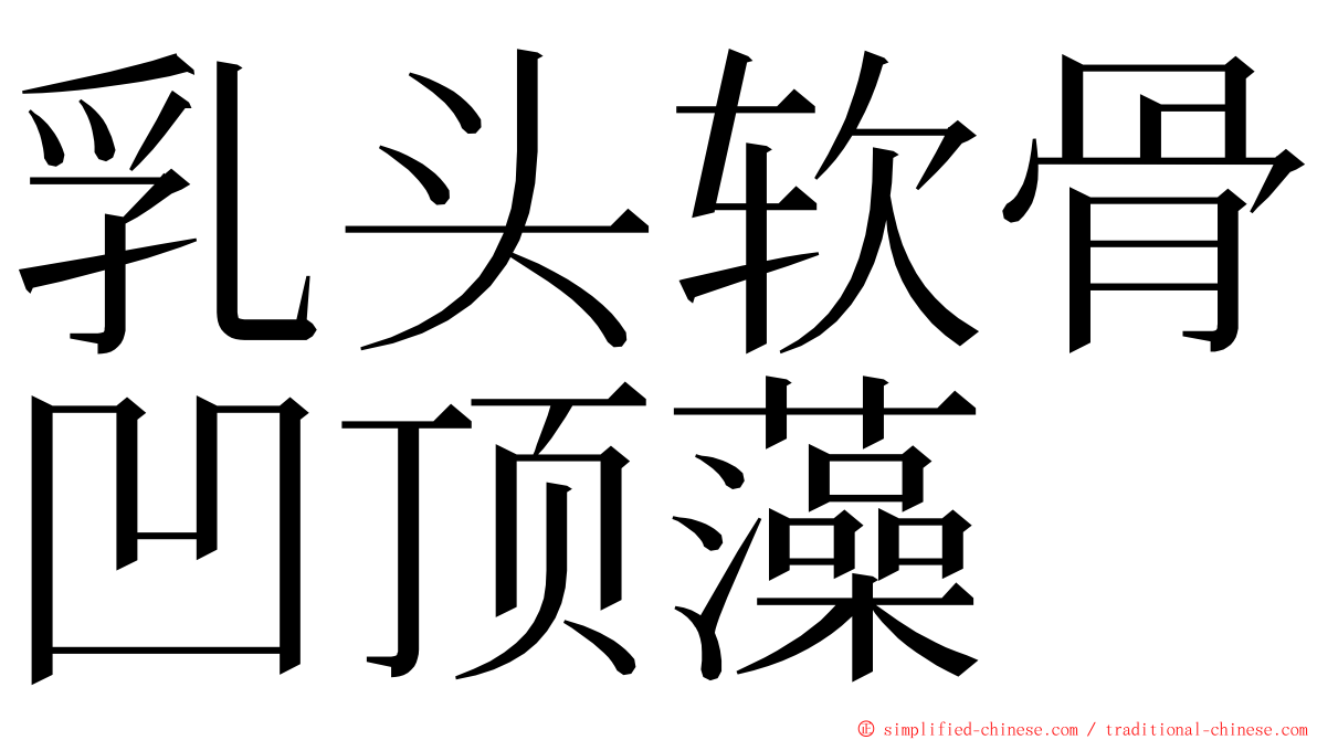 乳头软骨凹顶藻 ming font