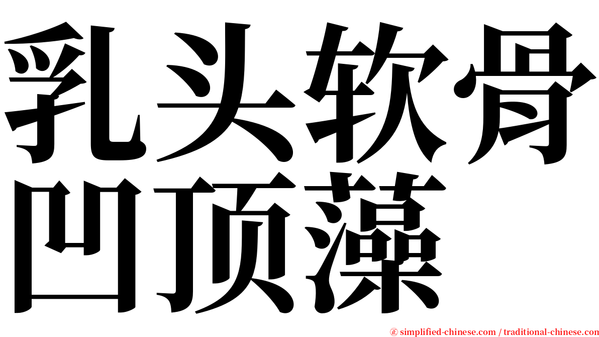 乳头软骨凹顶藻 serif font