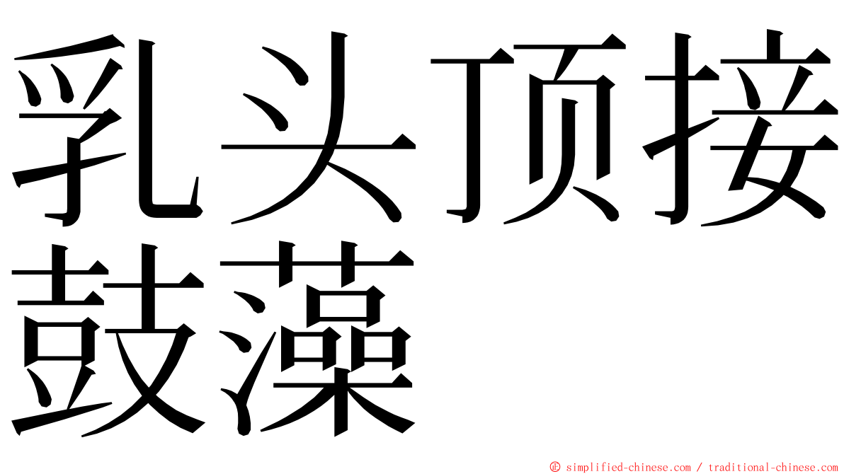 乳头顶接鼓藻 ming font