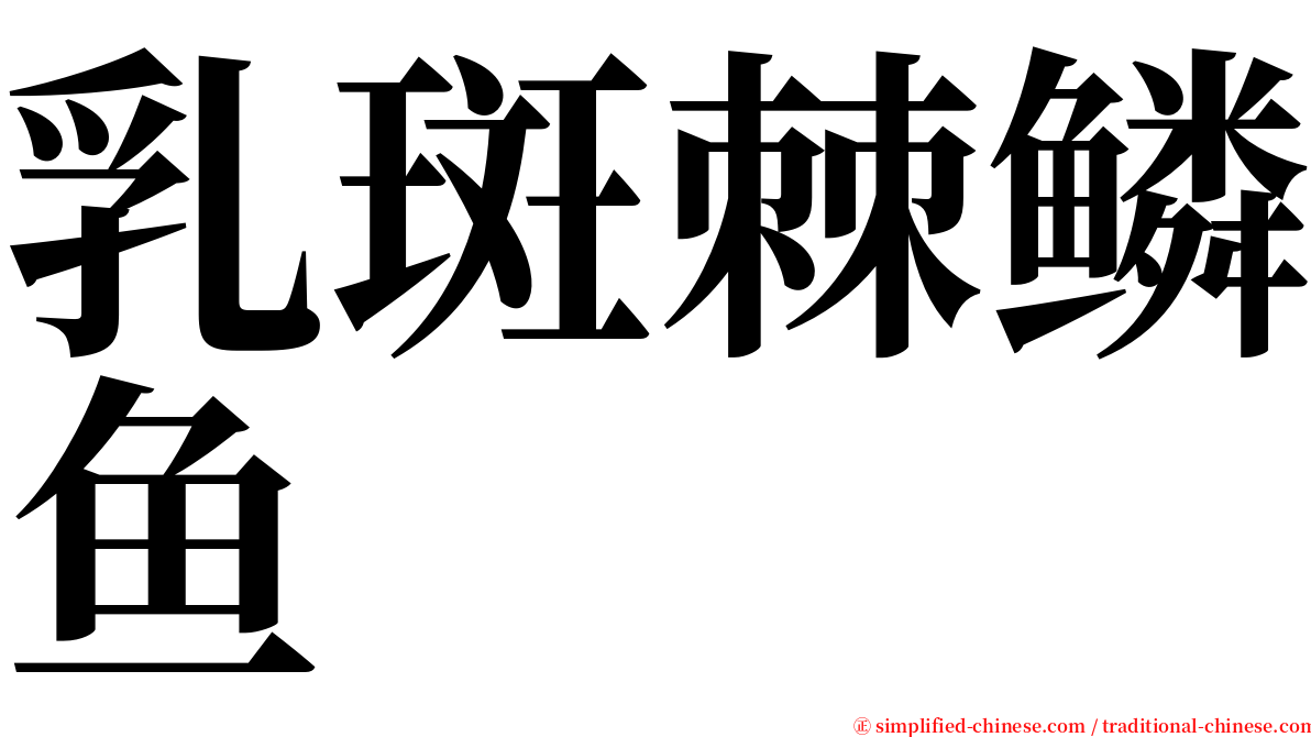 乳斑棘鳞鱼 serif font