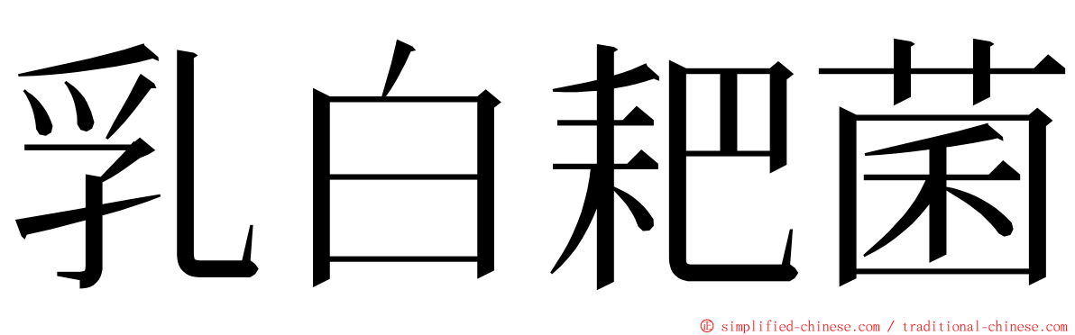 乳白耙菌 ming font