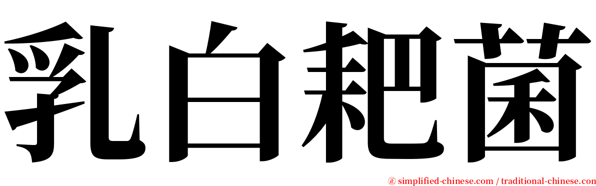 乳白耙菌 serif font