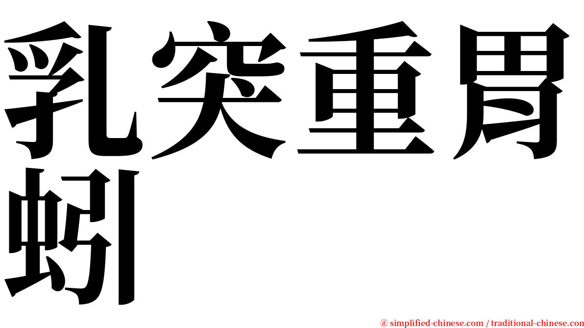 乳突重胃蚓 serif font