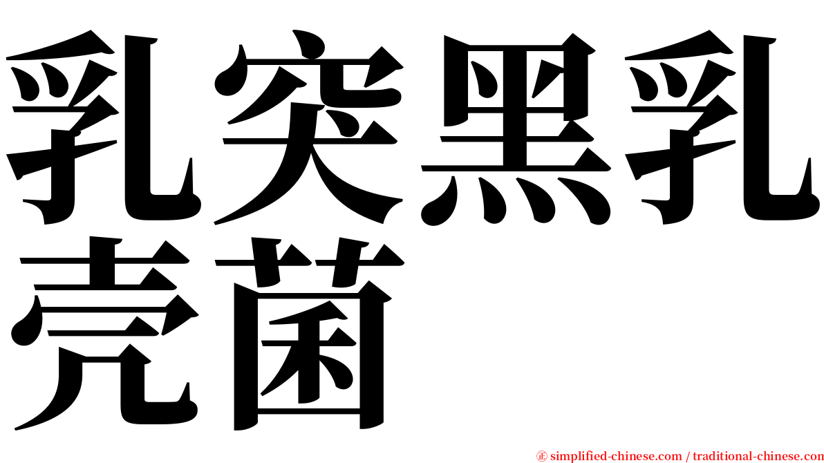 乳突黑乳壳菌 serif font