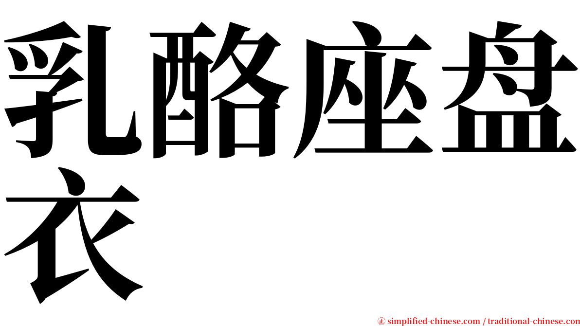 乳酪座盘衣 serif font