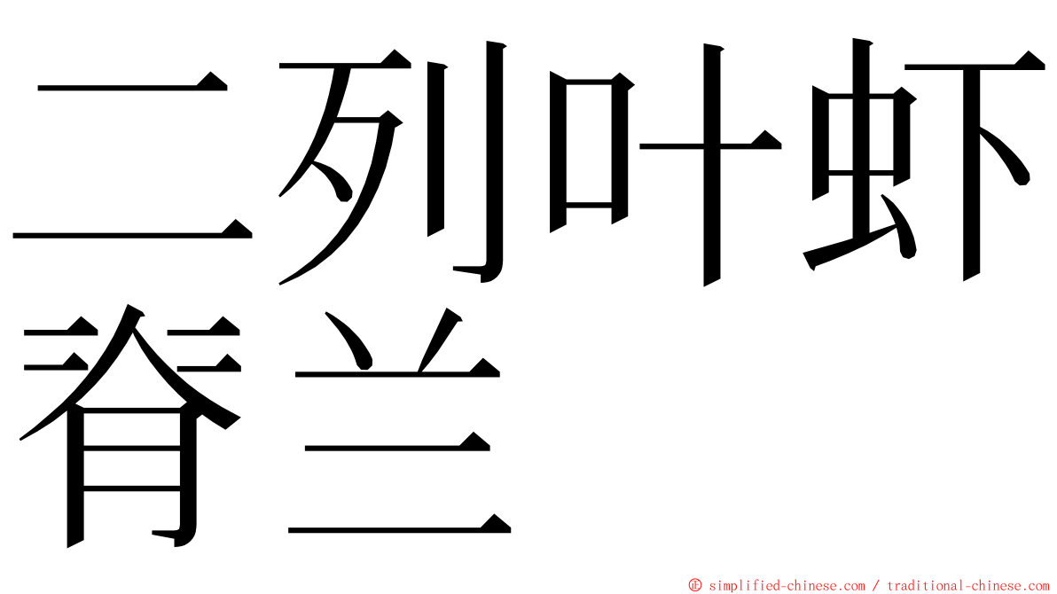 二列叶虾脊兰 ming font