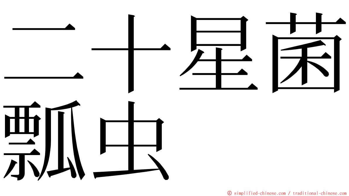 二十星菌瓢虫 ming font