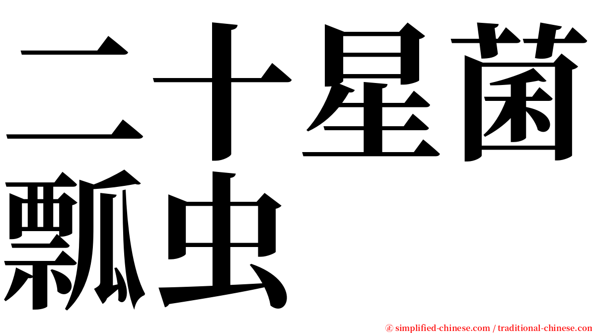 二十星菌瓢虫 serif font