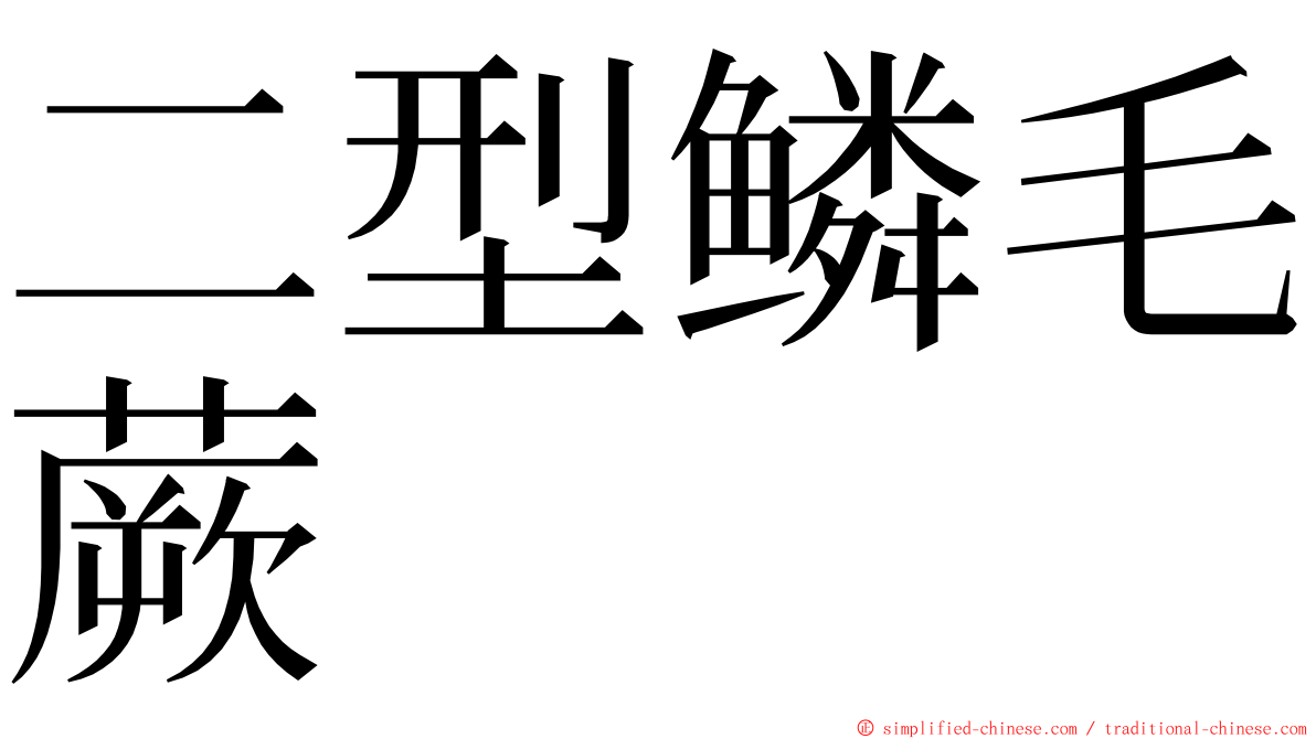 二型鳞毛蕨 ming font