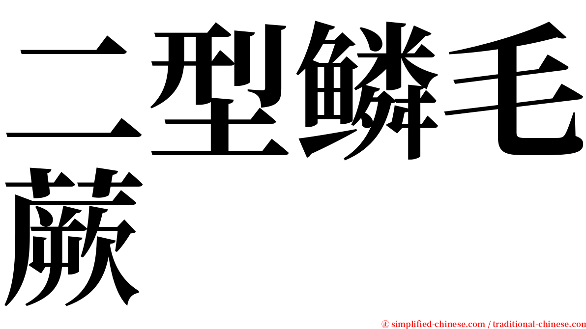 二型鳞毛蕨 serif font