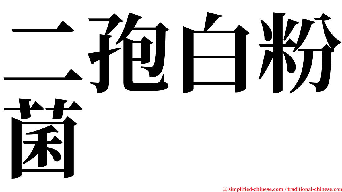 二孢白粉菌 serif font