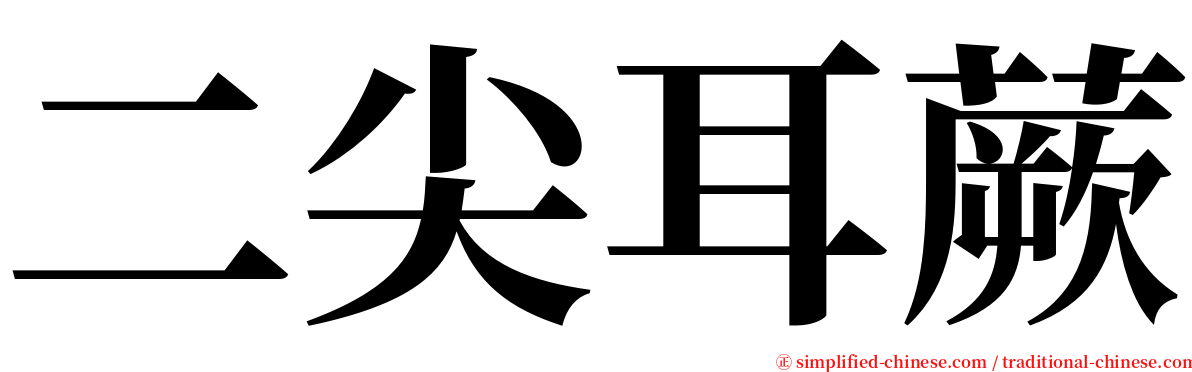 二尖耳蕨 serif font