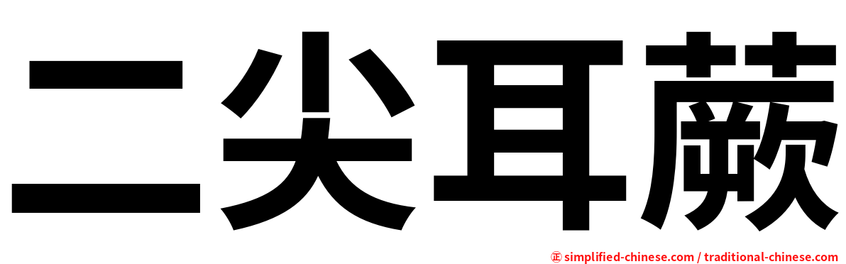 二尖耳蕨