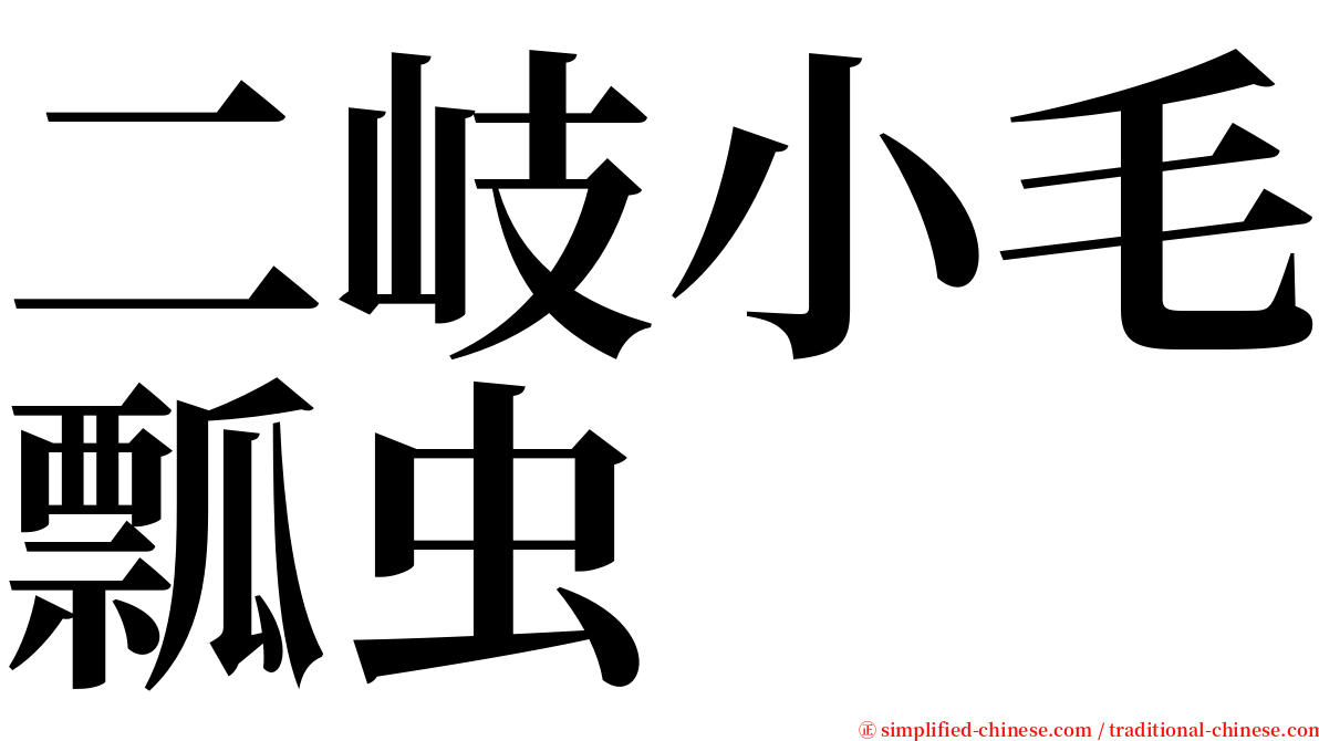 二岐小毛瓢虫 serif font