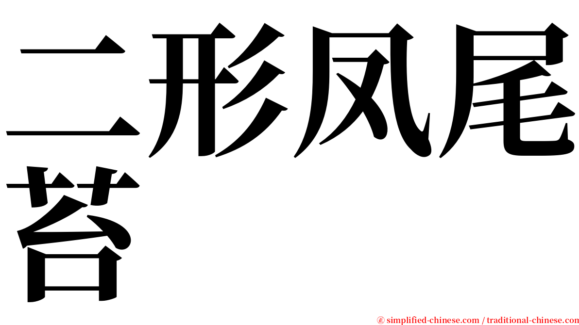 二形凤尾苔 serif font