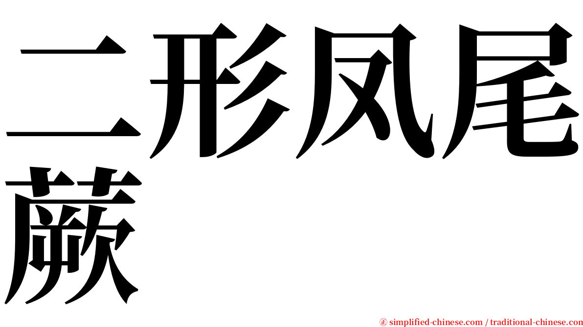 二形凤尾蕨 serif font