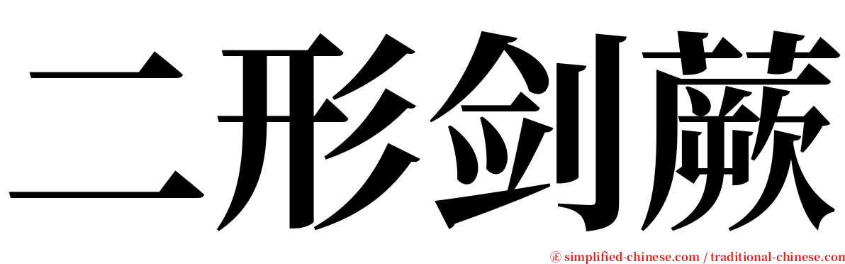 二形剑蕨 serif font