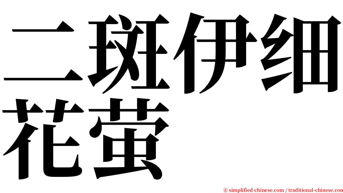 二斑伊细花萤 serif font