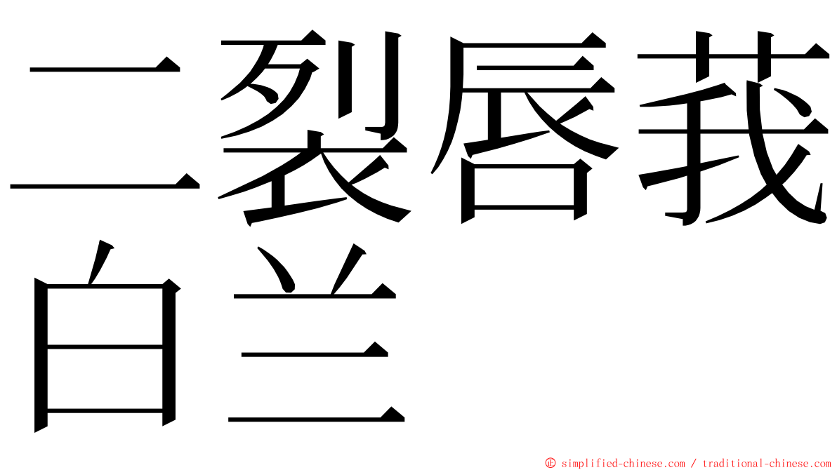 二裂唇莪白兰 ming font